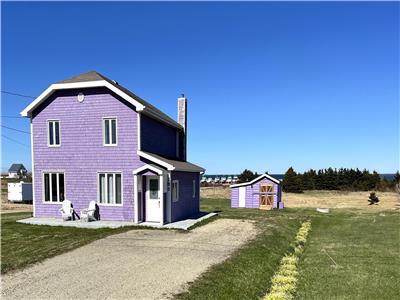 The Purple house