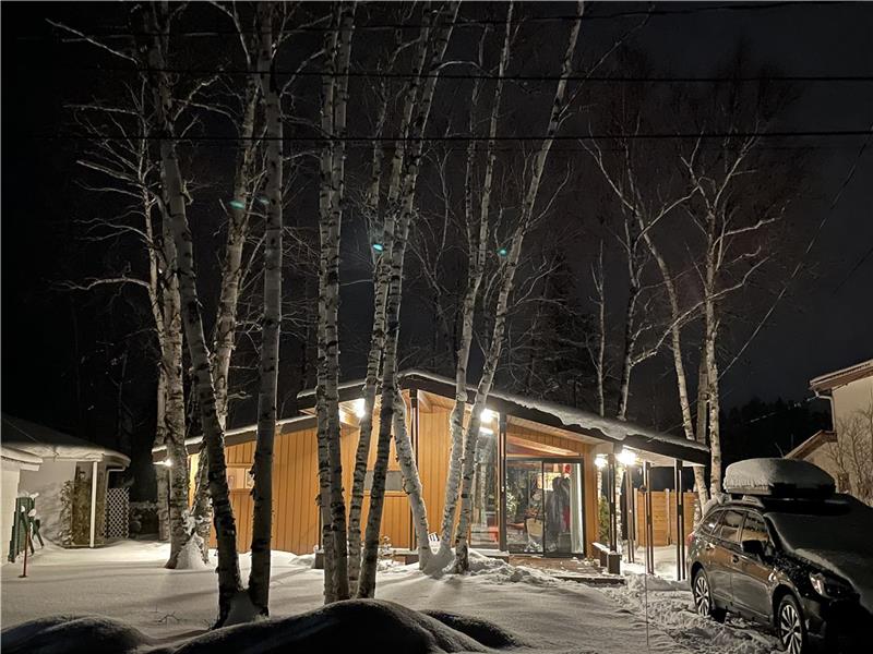 Between Lake and Mountains