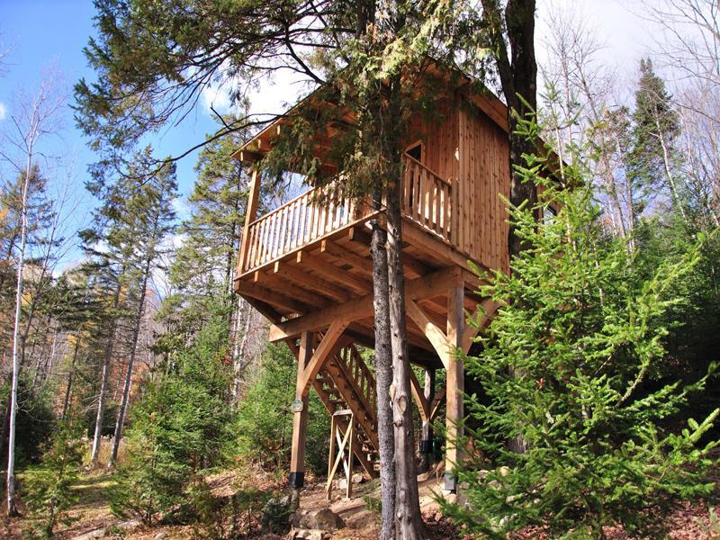 Treehouse  le Colibri