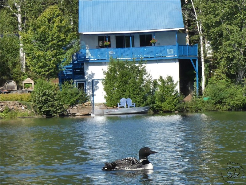 Le chalet Mallard vous souhaite un bel été 2026!