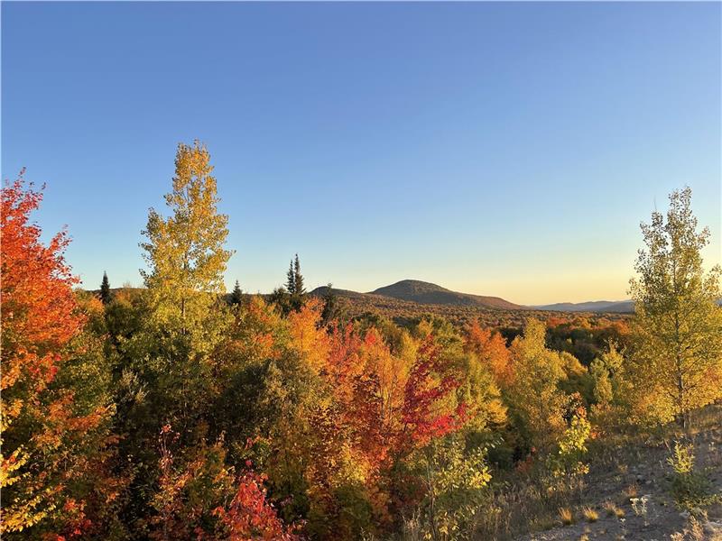 Le Secret bien gardé, Mont Tremblant Côté Nord - Abordable