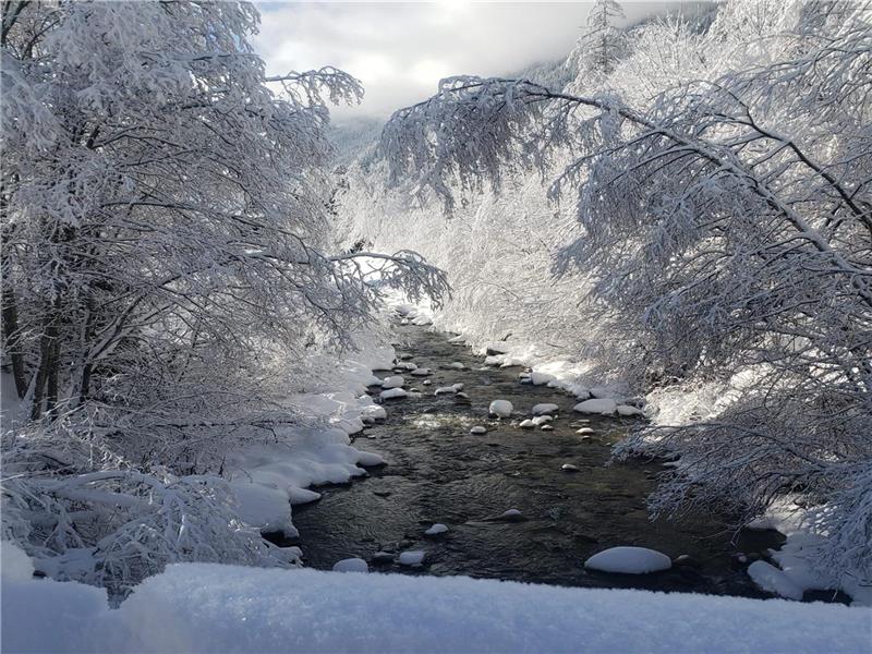 Hidden getaway, North Side of Mont Tremblant - Affordable