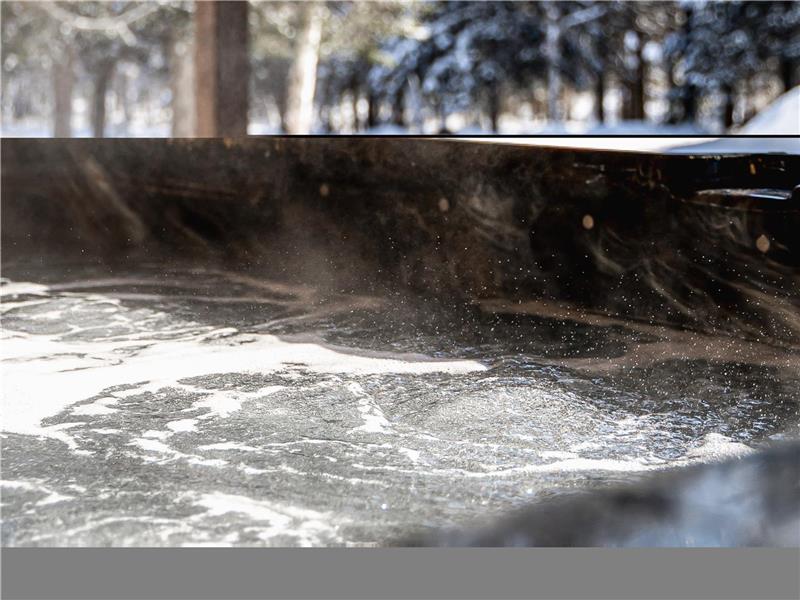 * PASSION CHALETS * | LE PIGNON VERT | SPA - LAC - BILLARD