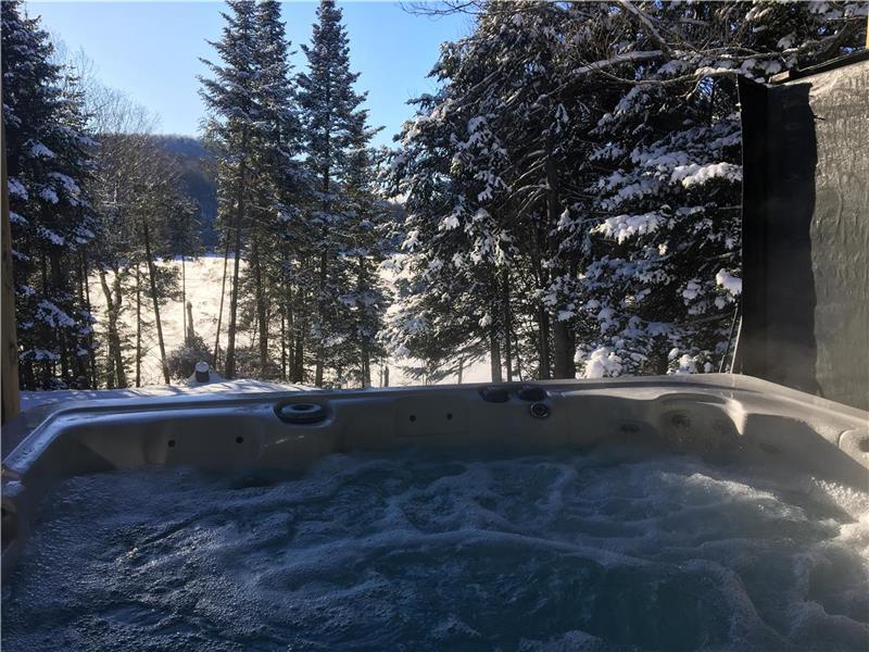 Waterfront Cottage, SPA, Pool Table,foose ball, kayaks, paddle boat, Tremblant area