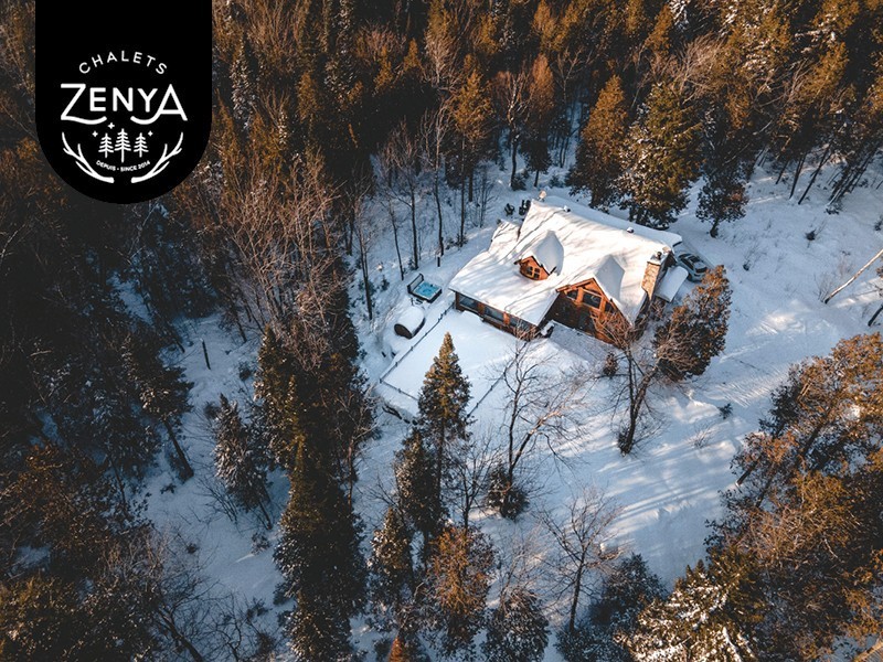 Chalet Silver Fox Spa (Fiddler Lake)
