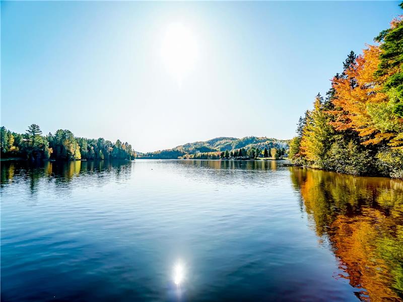 condo du lièvre au bord de l'eau