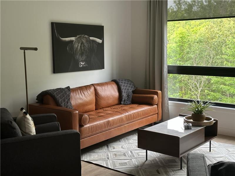 The JOFORD, Condo, 5 minutes from skiing, Sépaq with included extras (elect. bikes, paddles, kayak+)