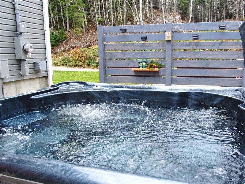 * PASSION CHALETS * | LES PETITS OISEAUX | CONSTRUCTION NEUVE - RUISSEAU - NATURE - COIN FEU