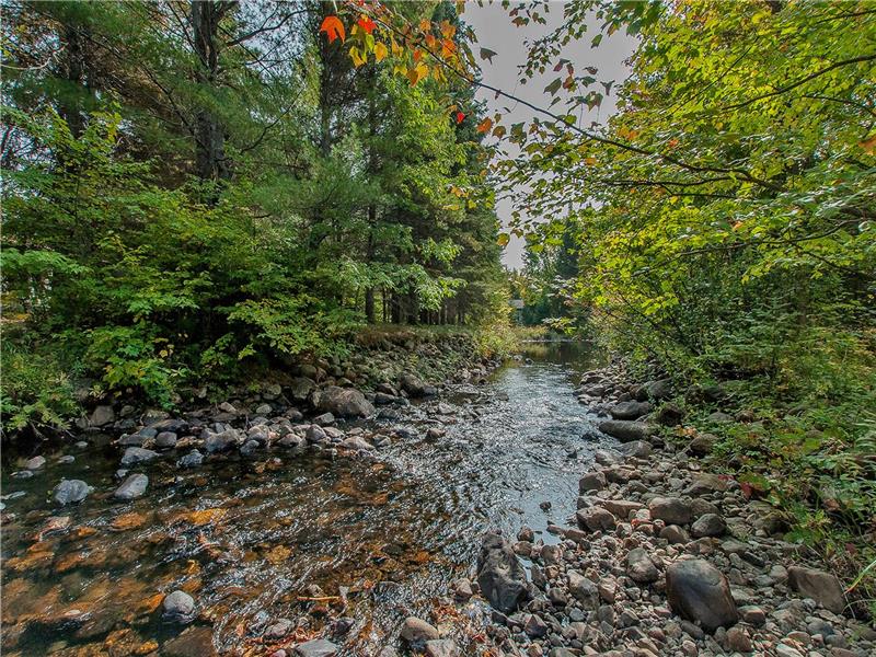 Coureur-des-bois / spa / rivière/ chiens acceptés sans frais supp.*