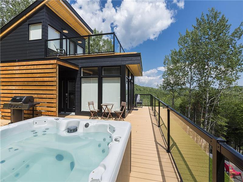 MIG-17 (Le contemporain en pleine forêt)