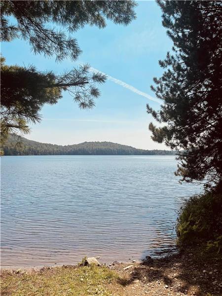 * PASSION CHALETS * | A-FRAME | ACCÈS LAC - LOOK MODERNE - VÉRANDA - FOYER - ANIMAUX ACCEPTÉS