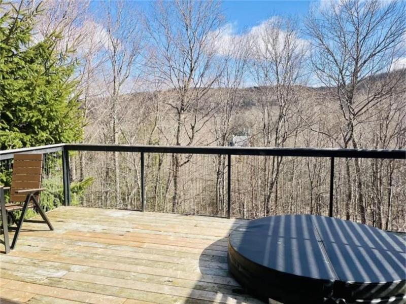 SUTTON petit CHALET SPA privée - 1 chambre - Proximité des pistes de ski du Mont Sutton