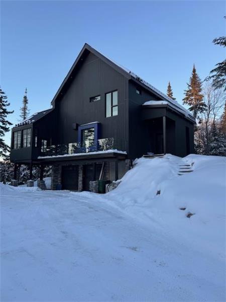 Newly built Scandinavian cottage