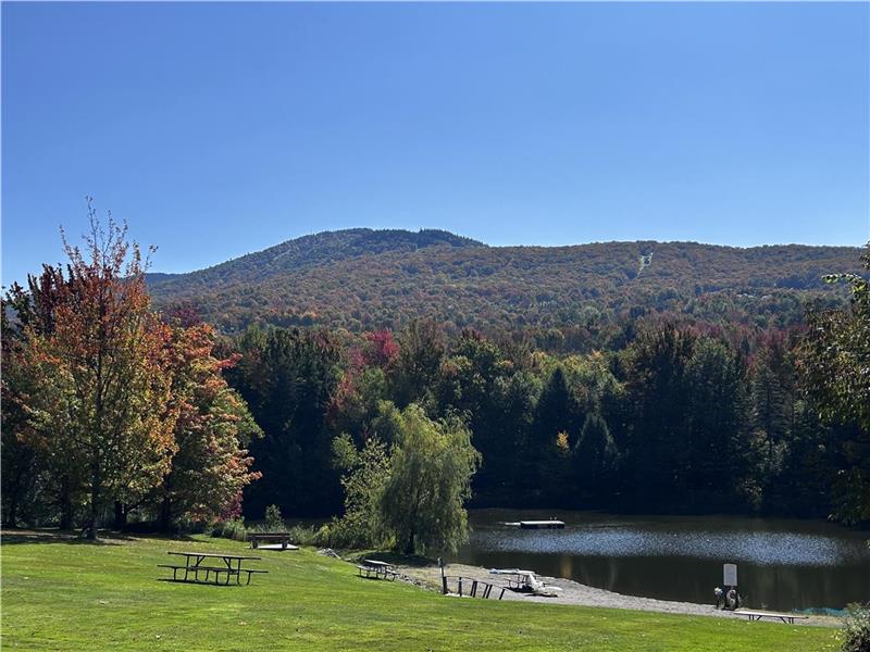 Rustic lakeside condo-chalet with Mont Sutton views
