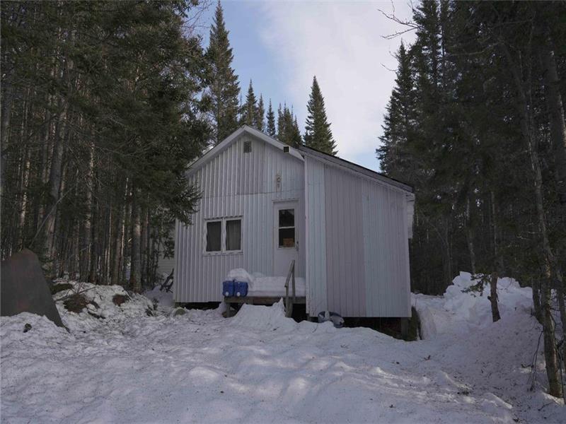 chalet sur terre  a bois , chasse  a percé