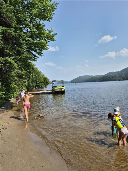 Chalet rustique en bois sur le bord de l'eau.