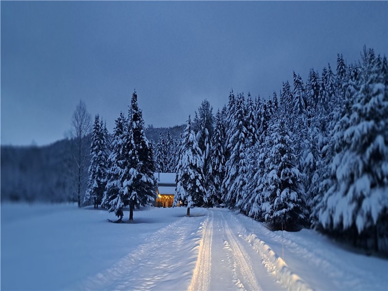 Chalet au pied de l'étang