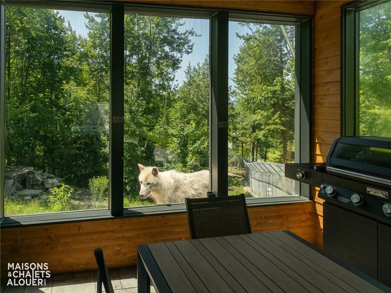 Le Wolfestown