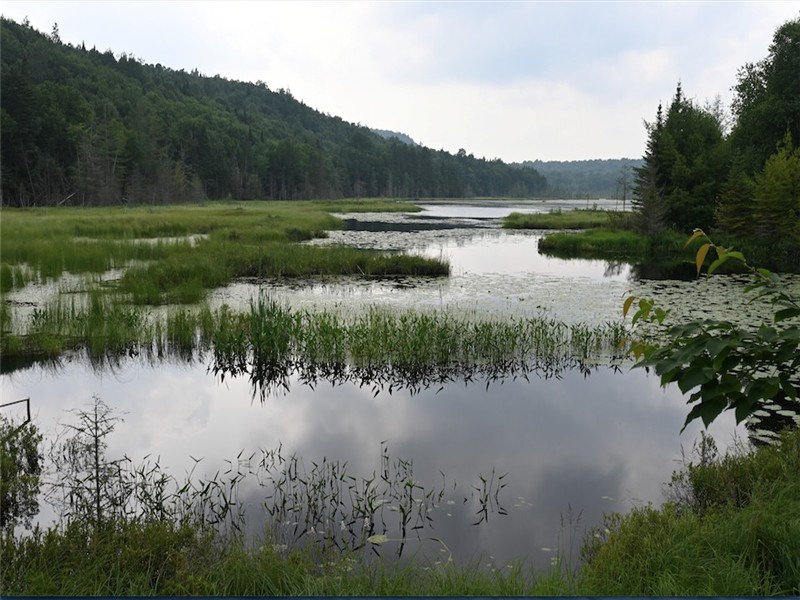Chalet and Private Grounds lac Turner Mauricie