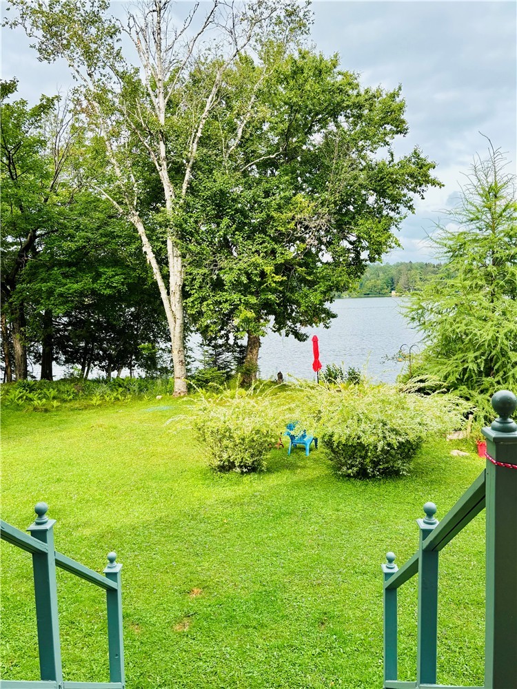 The secret of the lake
