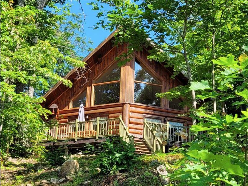 Aigle à Tête Blanche