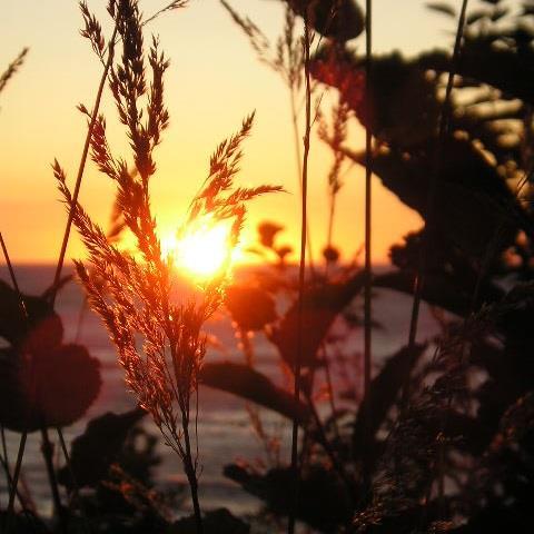 Domaine Tourelle sur Mer