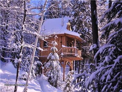 Cabane dans les Arbres le Hibou