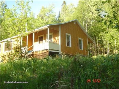 Chalet chaleureux,8 minutes Tremblant Nord,, location 1 mois minimum Ou saisonnier
