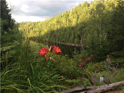 Le Solitaire Cottage - 2 minutes from the Mauricie National Park