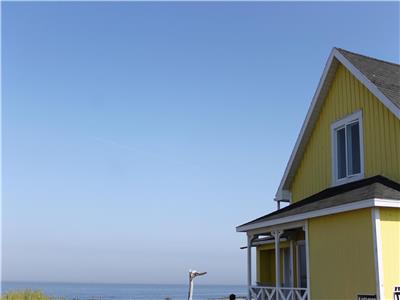 Le Jaune Moutarde