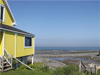 Le Jaune Moutarde