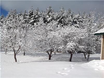 L'rable Argent   SPA. 100acres de terrain avec chemin priv de 1.8km .  Tranquillit assur .