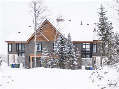 Chalet avec vue imprenable sur le fleuve spcial  fevrier 2 nuits  995 plus taxes !!!!