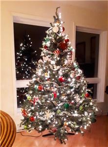 Nice big large waterfront cottage , 4 bedrooms, So peaceful