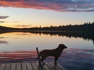 Charmant chalet, tout equip situ au bord du lac du nord