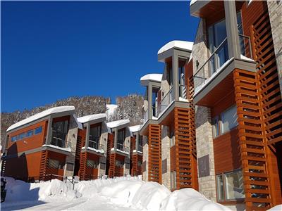 CHALETSKIPLEINAIR STONEHAM (dans la montagne, foyer, spa, billard) Rabais disponibles en semaine!