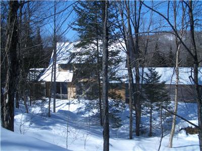 Maison Bord de L'Eau Contemporaine sur un Grand Terrain Bois