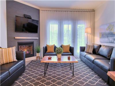 LeChamplain.206 CITQ #248275