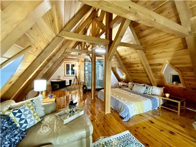 DOMAINE *7 ch * VUE *SPA * BILLARD * 2 foyers * immense terrain* NATURE * glissade * raquette