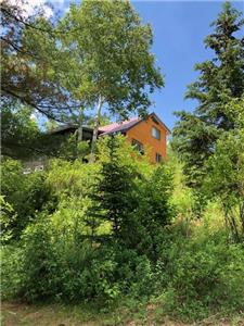 Chalet Antique