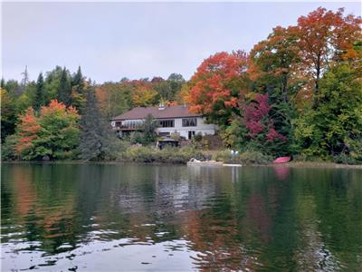Oasis du lac