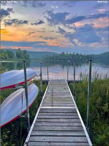 Lake and forest - new built