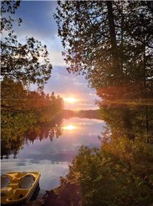 Rustic and charming lake-side cabin (31 days or more)