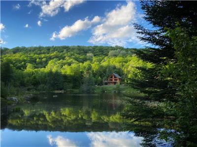 Le Pic'OboisMagnifique chalet en bois +bord de l'eau +wifi