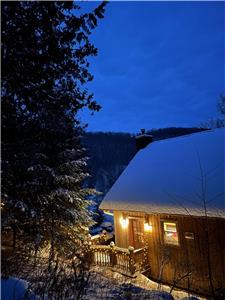 Le Wapiti - Chalet bord de l'eau, spa, foyer et borne lectrique