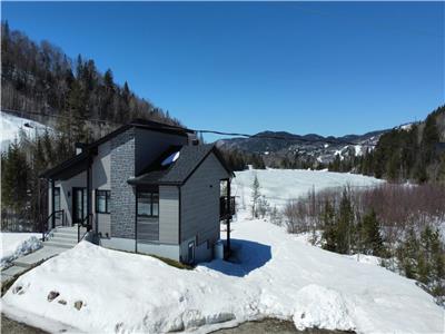 *Galaxia| Aquila | hot tub | sauna | billard | Lac Bourgeois