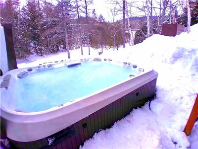 >SPA XL _ Animaux ACCEPTS < BORD DE L'EAU PRIV _ FOYER & BBQ _ MODULE DE JEUX _ KARAOK _ WIFI CH