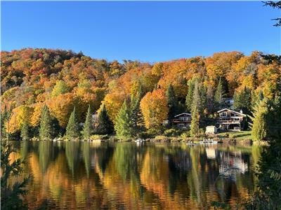 Great-Escape Nature cottage,  waterfront, calm, tranquility, SPA !, favorite