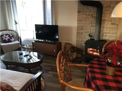 Relaxing getaway Cottage : with view on the lake and fireplace (~1 h from Mtl)