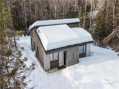 NATURA-1 | Cottage to rent with spa Mauricie